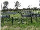 Lot 28 Emu Flat Road, Bordertown SA 5268