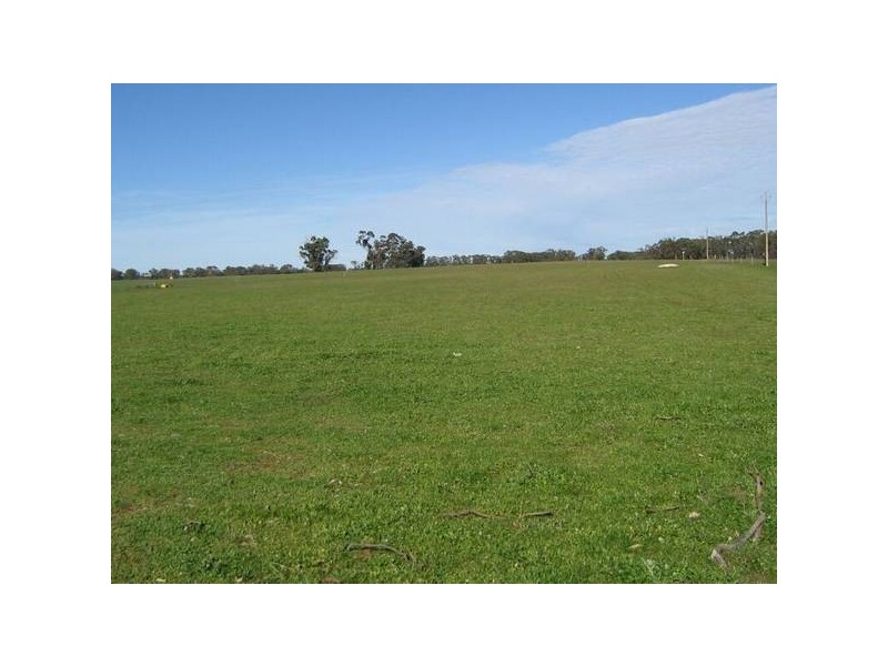 Lot 104 Cannawigara Road, Bordertown SA 5268