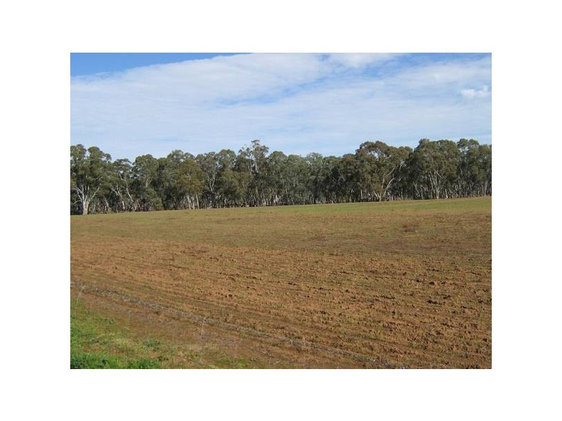 Lot 104 Cannawigara Road, Bordertown SA 5268