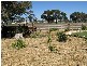 Lot 13 Cannawigara Road, Bordertown SA 5268