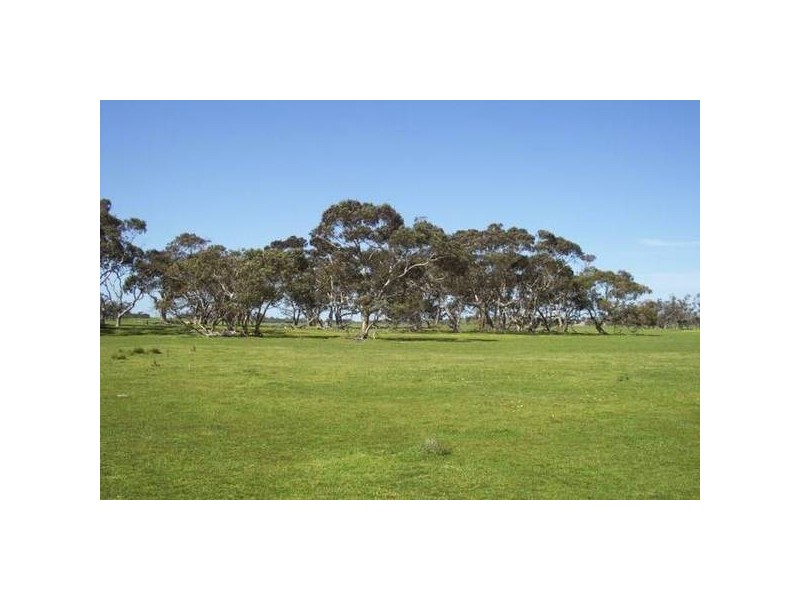 Sec 94 Old Stone Tank Road, Mundulla SA 5270