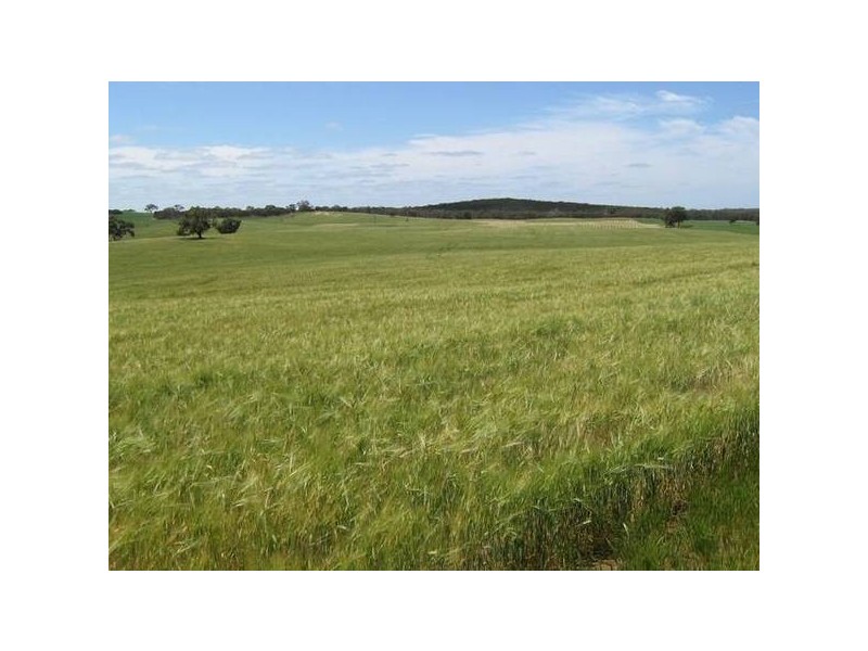 Sec 94 Old Stone Tank Road, Mundulla SA 5270