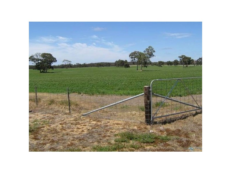 Sec 94 Old Stone Tank Road, Mundulla SA 5270