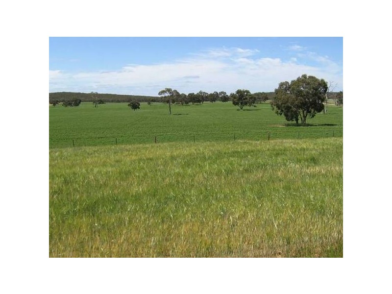 Sec 94 Old Stone Tank Road, Mundulla SA 5270