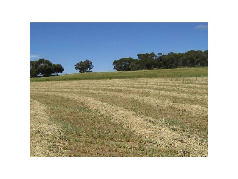 Sec 94 Old Stone Tank Road, Mundulla SA 5270