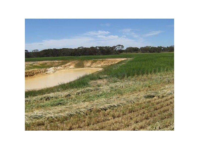 Sec 94 Old Stone Tank Road, Mundulla SA 5270