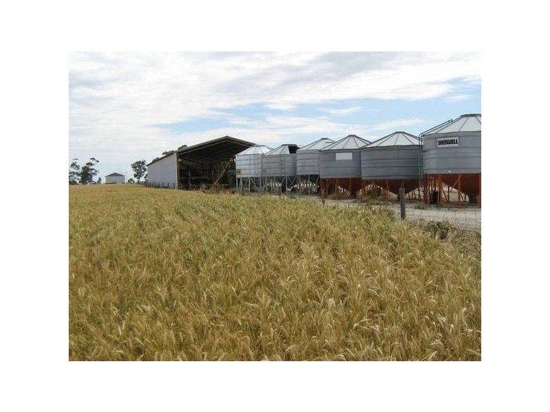 . Wolseley Road, Bordertown SA 5268