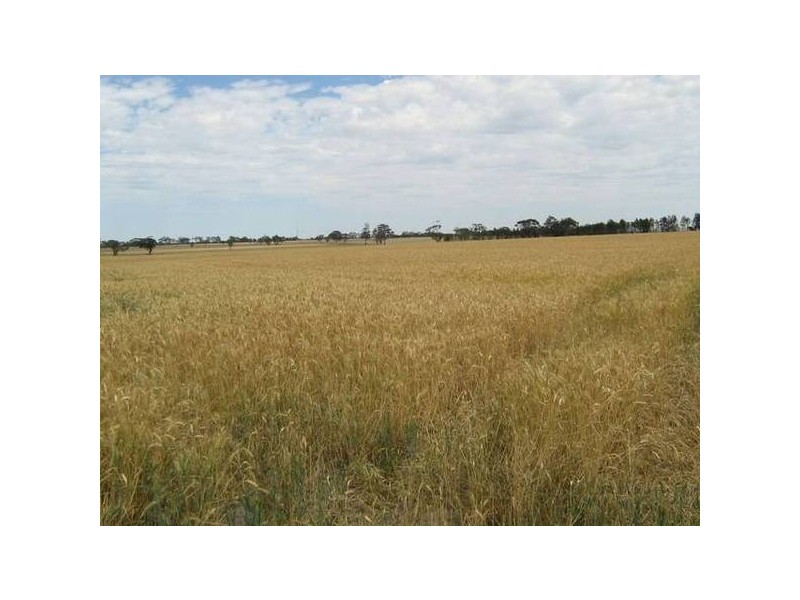 . Wolseley Road, Bordertown SA 5268