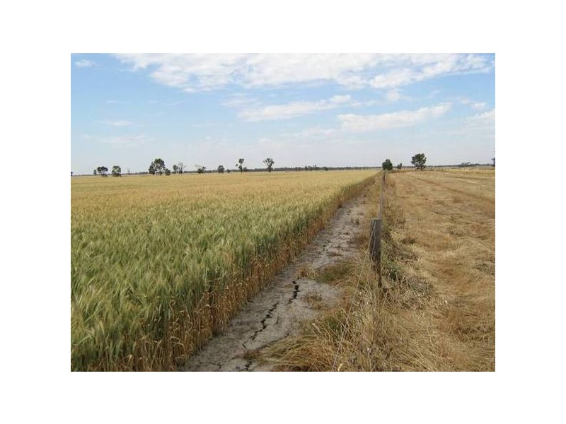 . Wolseley Road, Bordertown SA 5268