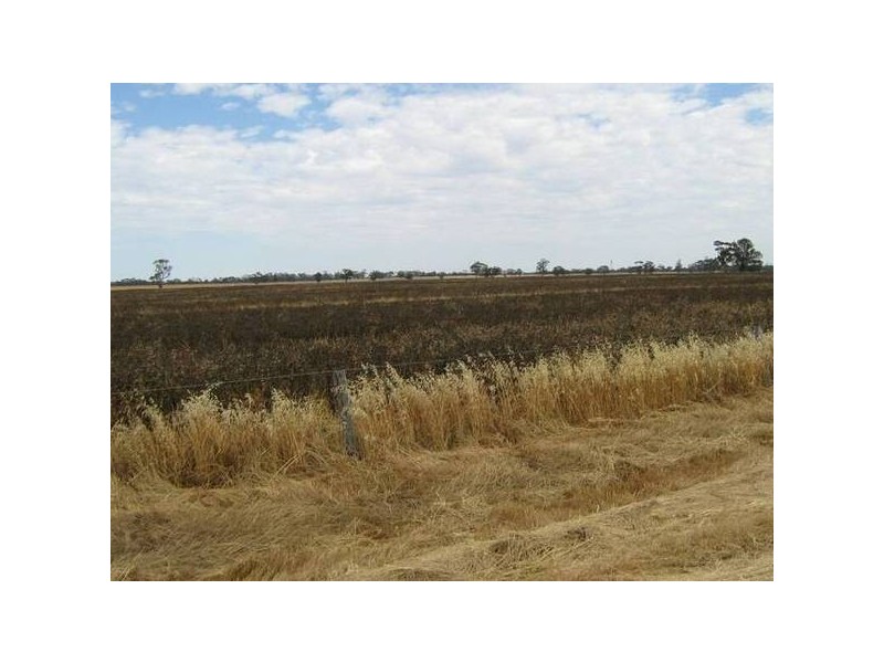 . Wolseley Road, Bordertown SA 5268