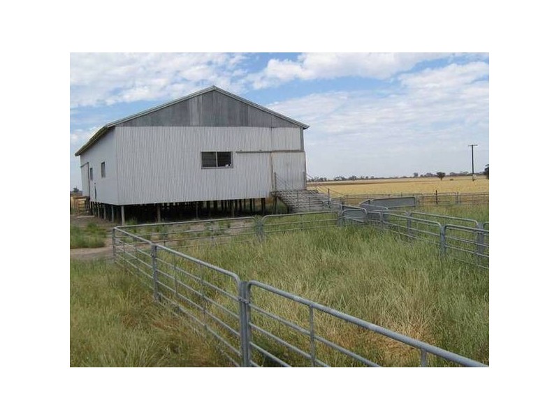 . Wolseley Road, Bordertown SA 5268