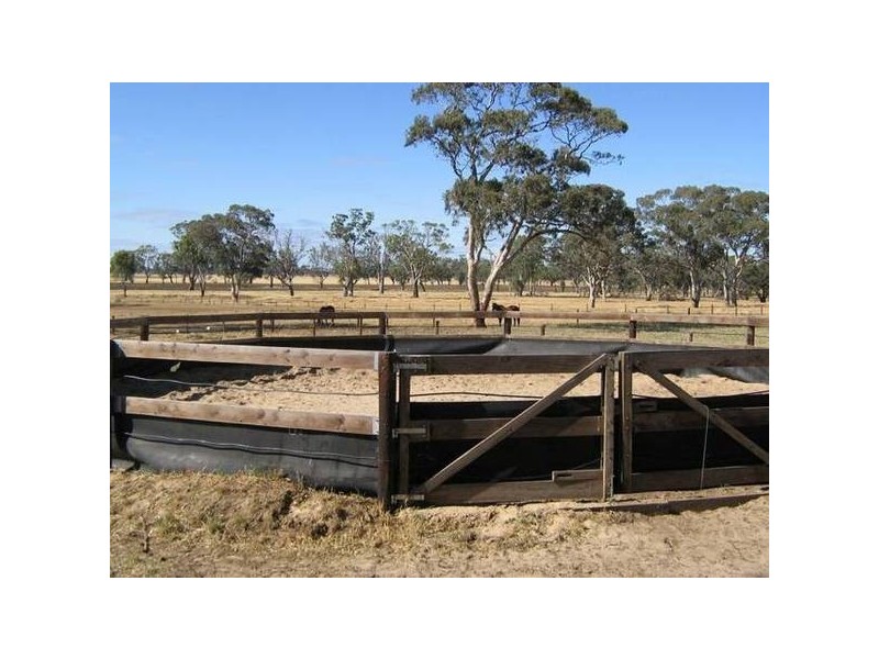 Lot 7 Rowney Road, Mundulla SA 5270