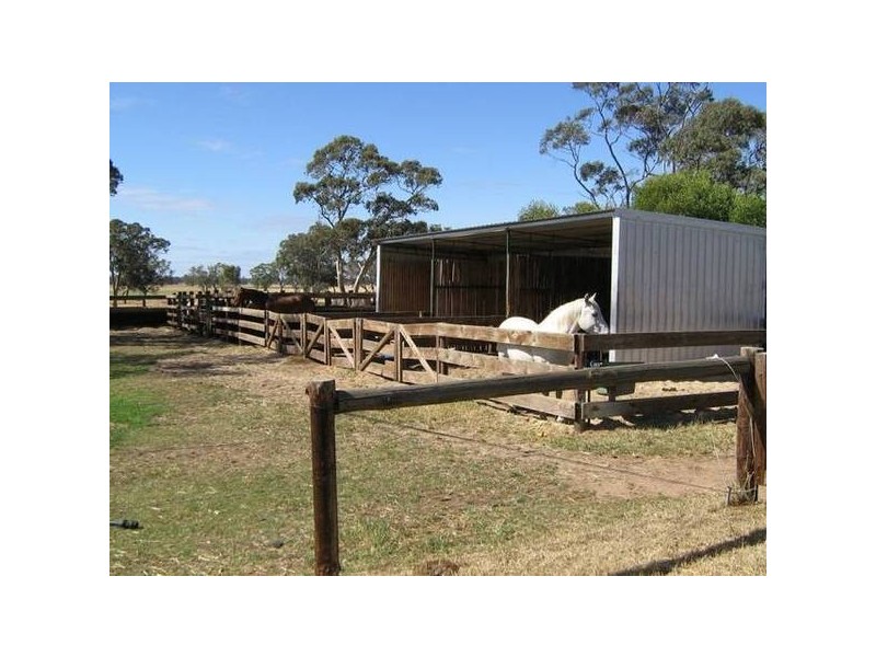 Lot 7 Rowney Road, Mundulla SA 5270