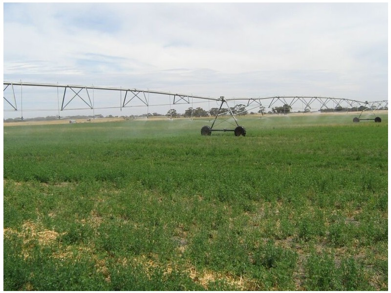 Stotts Road, Bordertown SA 5268