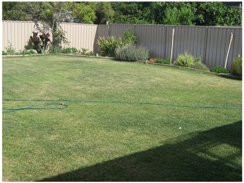 19 Fourth Street, Bordertown SA 5268