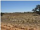 30kms out Pinnaroo Road, Bordertown SA 5268