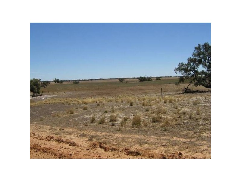 30kms out Pinnaroo Road, Bordertown SA 5268