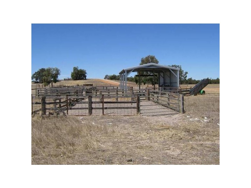 30kms out Pinnaroo Road, Bordertown SA 5268