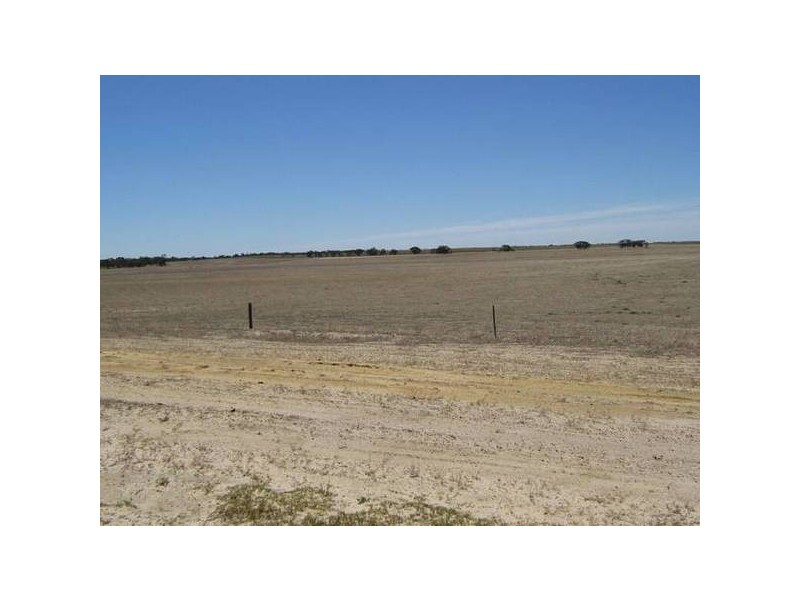 30kms out Pinnaroo Road, Bordertown SA 5268
