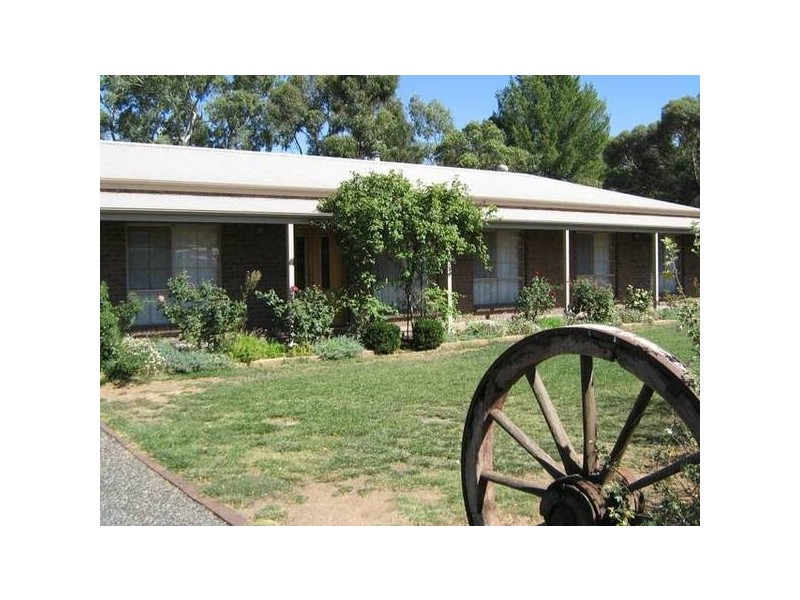 13 Peake Street, Bordertown SA 5268