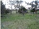 . Western Flat, Bordertown SA 5268