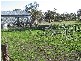 . Western Flat, Bordertown SA 5268