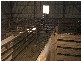 . Western Flat, Bordertown SA 5268