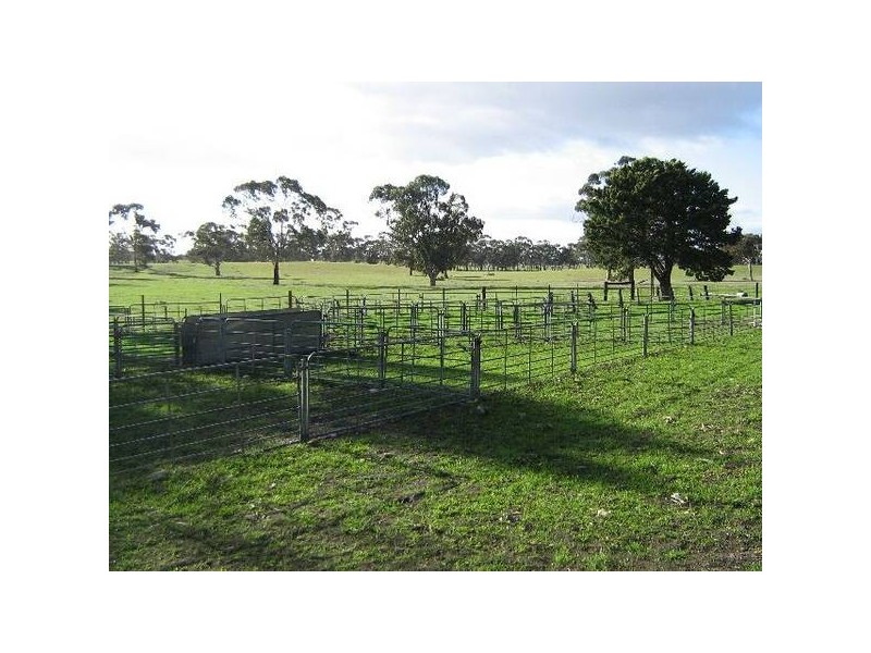 . Western Flat, Bordertown SA 5268