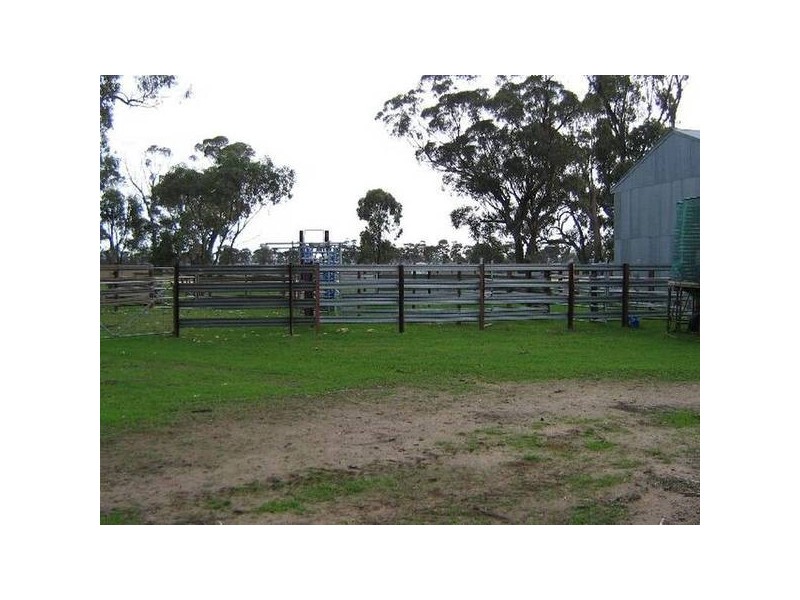 . Bordertown Frances Road, Bordertown SA 5268