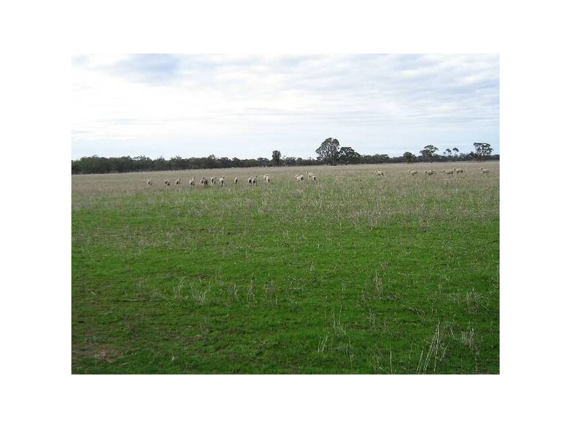 . Bordertown Frances Road, Bordertown SA 5268