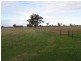 . Bordertown Frances Road, Bordertown SA 5268
