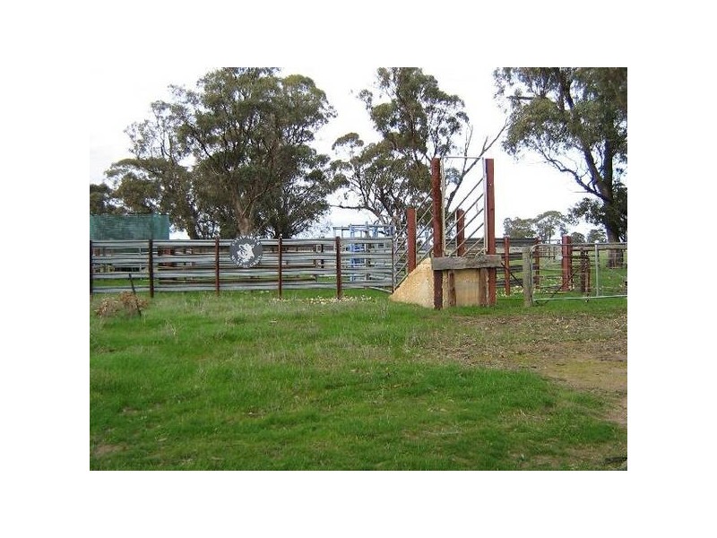 . Bordertown Frances Road, Bordertown SA 5268
