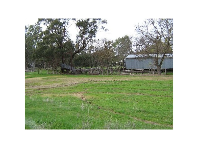 . Bordertown Frances Road, Bordertown SA 5268