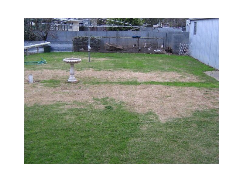 125 Vogelsang Road, Padthaway SA 5271