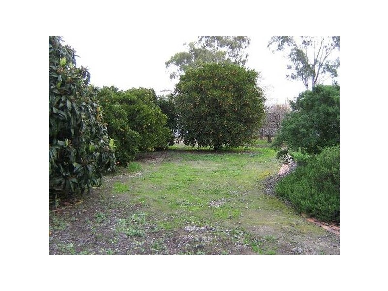 96 Victoria Parade, Bordertown SA 5268