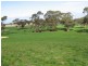 Naracoorte Road, Padthaway SA 5271