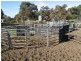 Naracoorte Road, Padthaway SA 5271