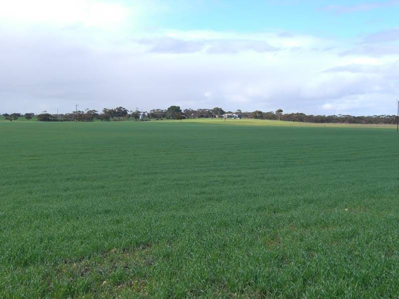 42 Tauragat Well Rd, Coonalpyn SA 5265