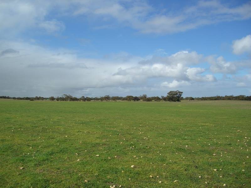 42 Tauragat Well Rd, Coonalpyn SA 5265