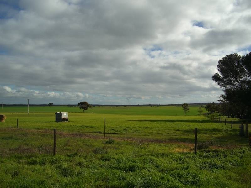 42 Tauragat Well Rd, Coonalpyn SA 5265