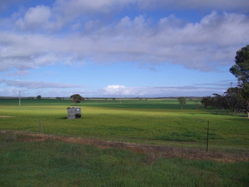 42 Tauragat Well Rd, Coonalpyn SA 5265