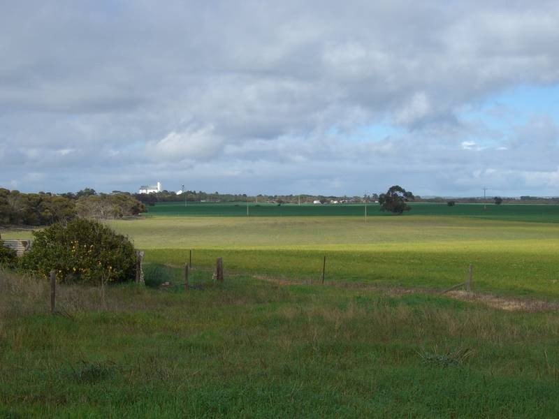 42 Tauragat Well Rd, Coonalpyn SA 5265