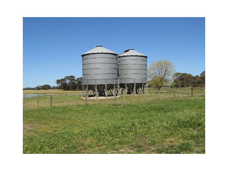 . Red Bluff Road, Bordertown SA 5268