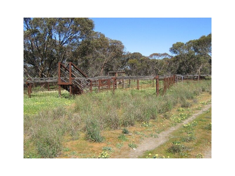 . Red Bluff Road, Bordertown SA 5268