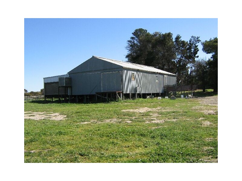 . Red Bluff Road, Bordertown SA 5268