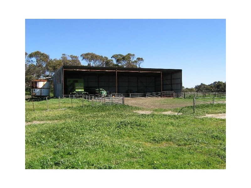 . Red Bluff Road, Bordertown SA 5268