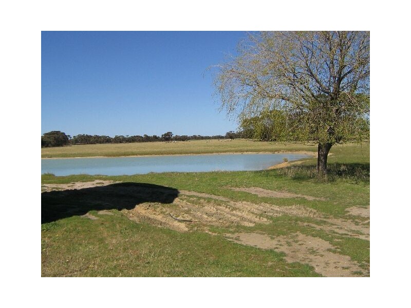 . Red Bluff Road, Bordertown SA 5268