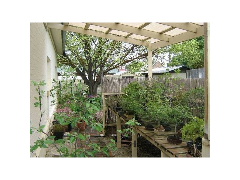 79 West Tce, Bordertown SA 5268