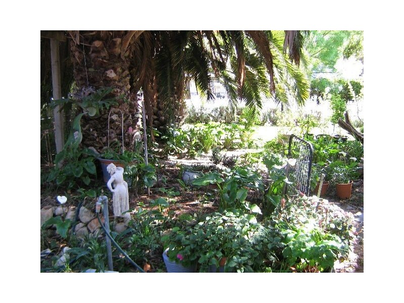 35 Naracoorte Road, Bordertown SA 5268