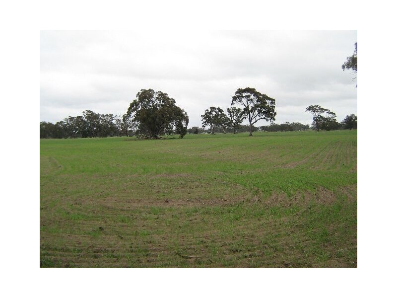 Lot 100,  Golf Course Road, Bordertown SA 5268